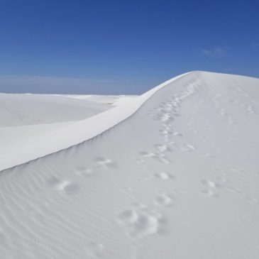 The Great Alaskan (Pandemic) Road Trip:  VI. The Sands of Time