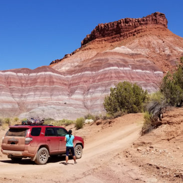 The Great Alaskan (Pandemic) Road Trip:  X. Under the Sea